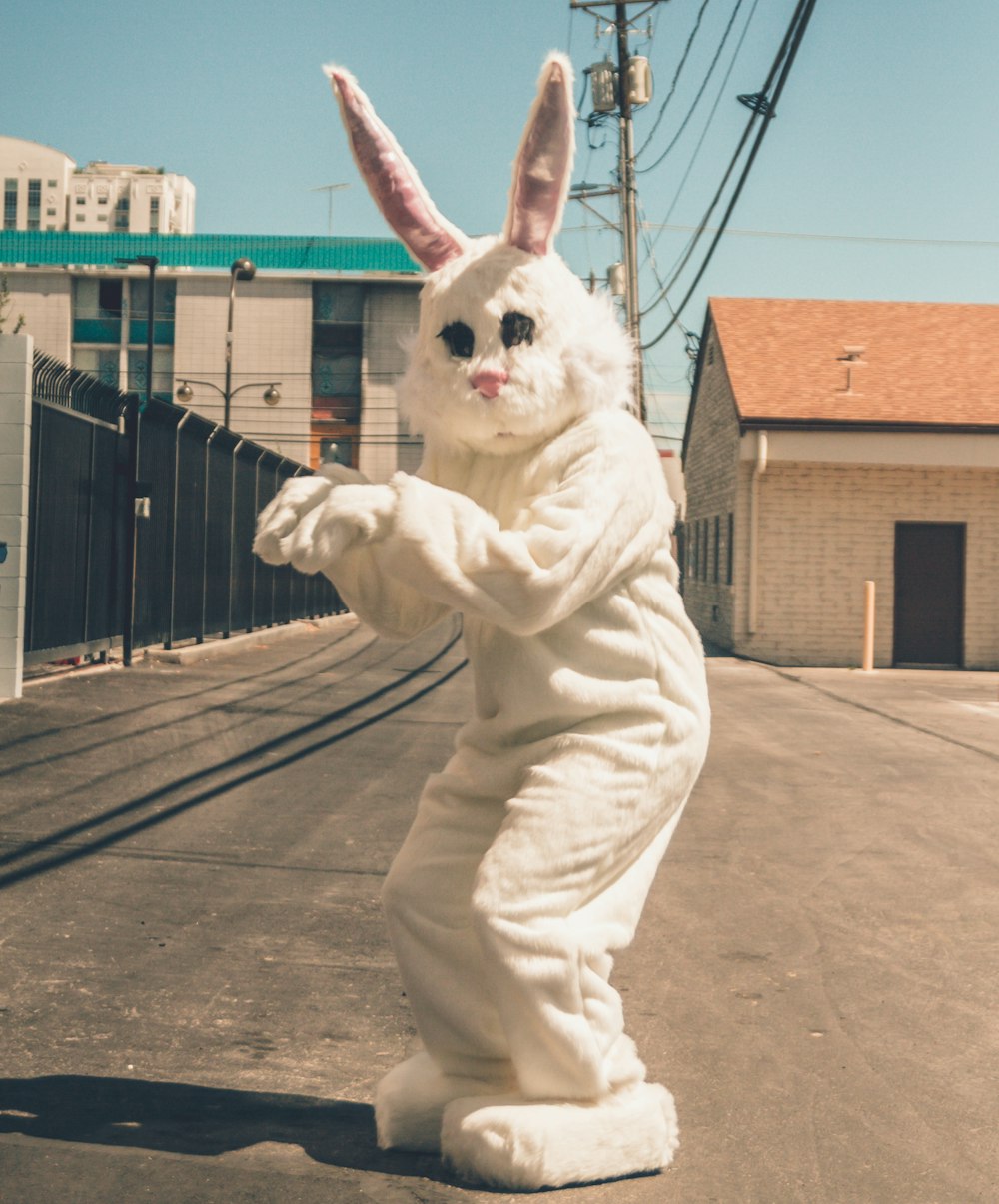 person wearing bunny mascot