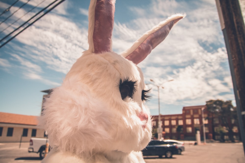 white bunny mascot standing by the electric post