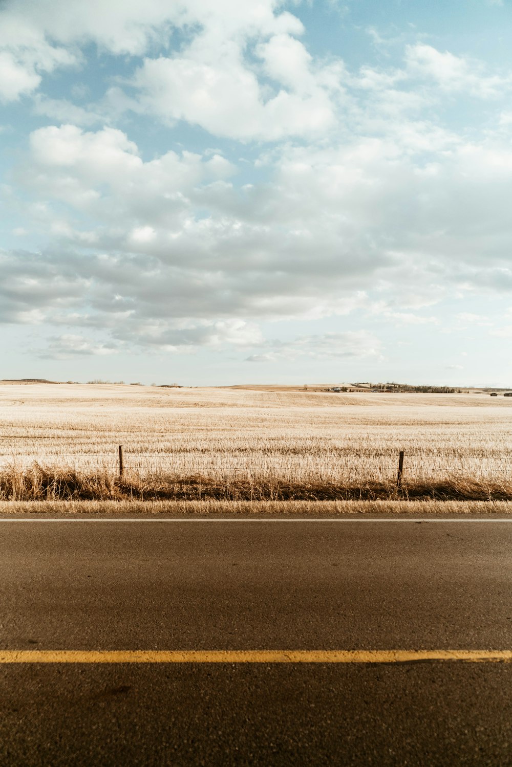 brown field beside paved road