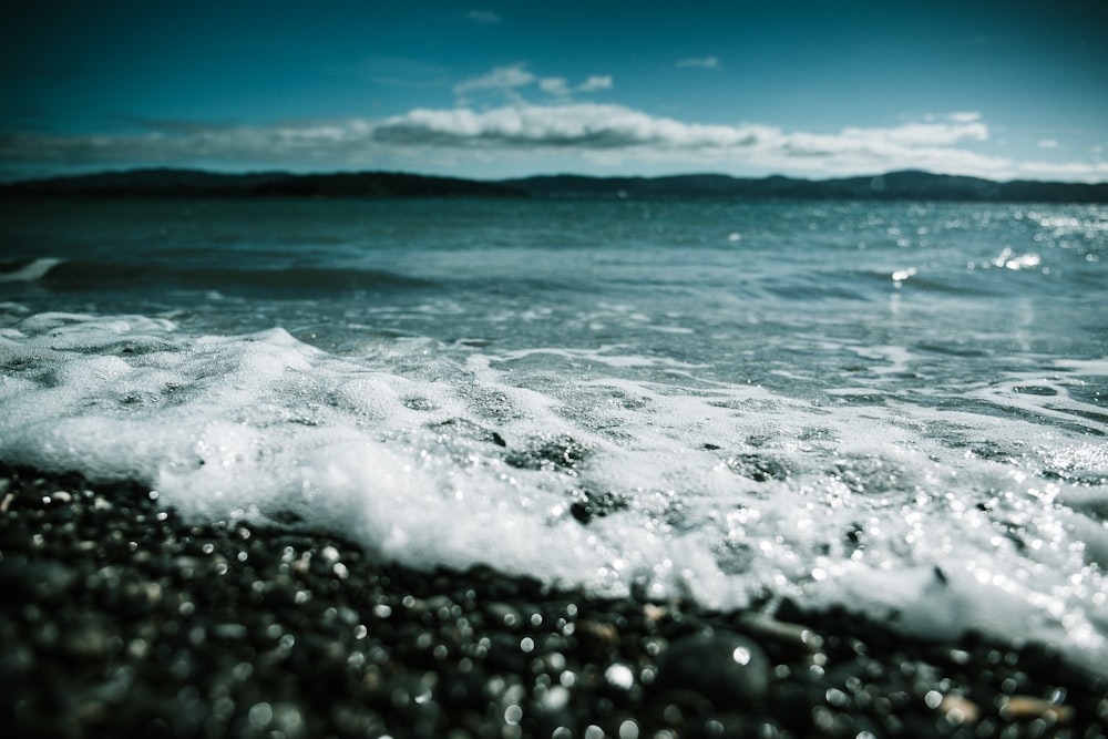 body of water during daytime