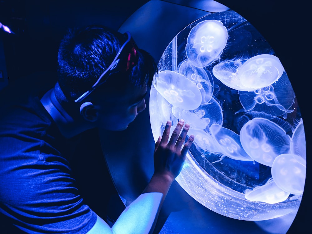 man touching aquarium with jelly fish