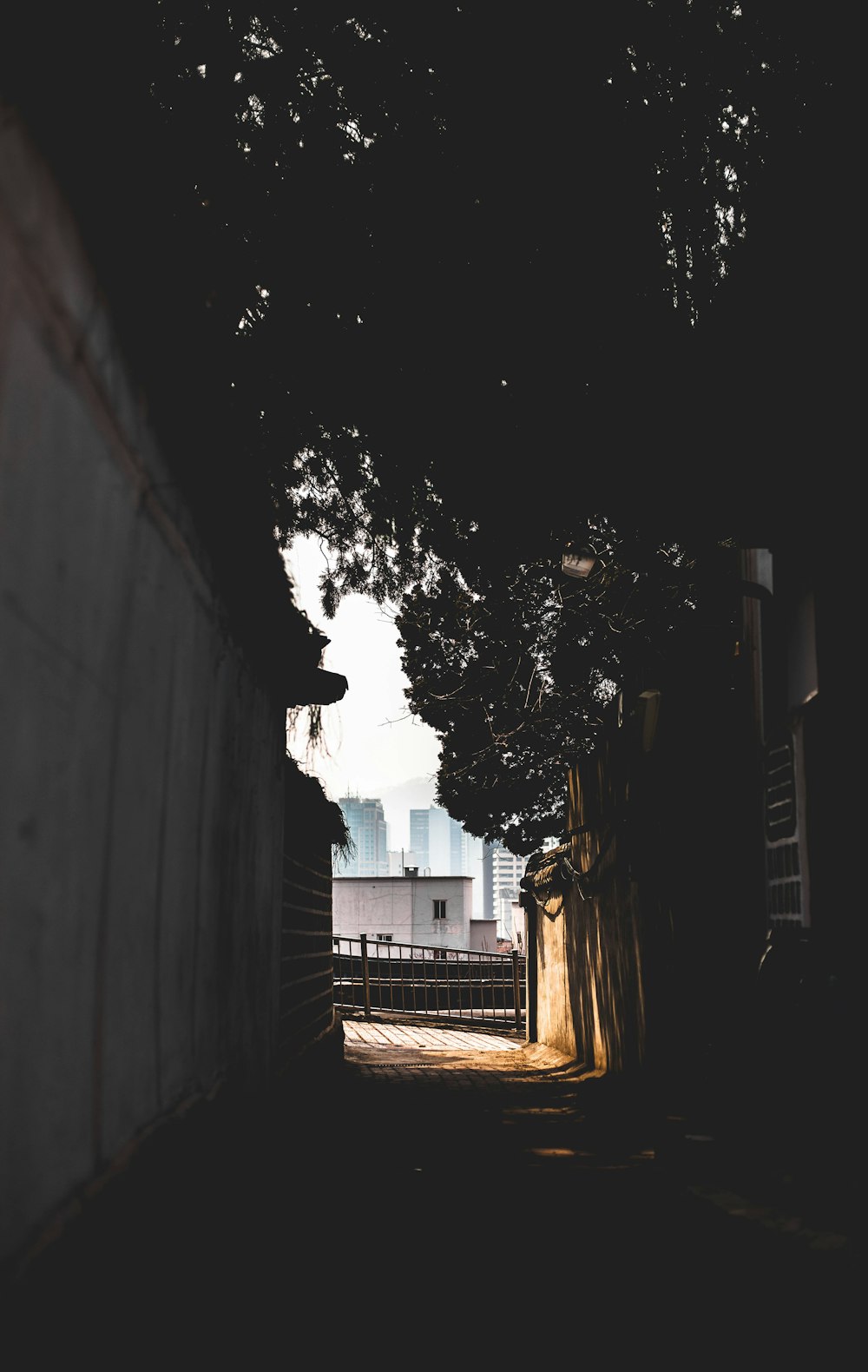 white wall near tree during daytime