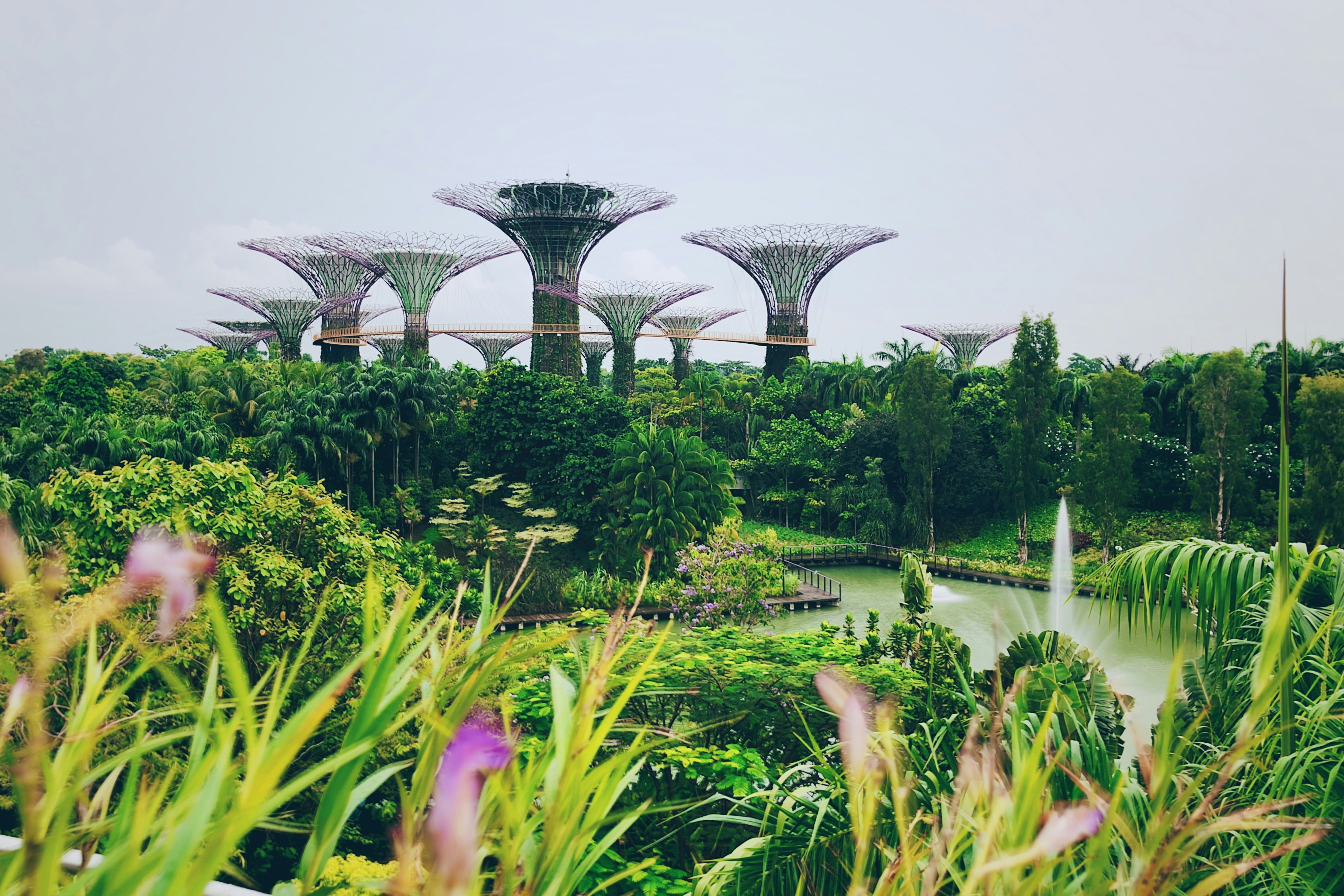 Garden By The Bay, Singapore