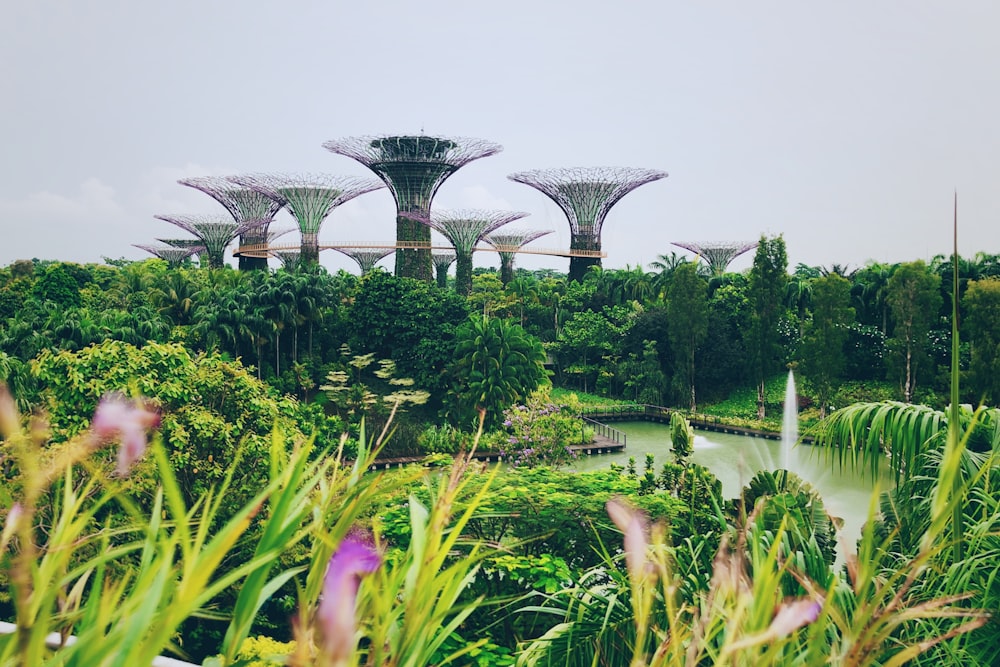 Garden By The Bay, Singapur