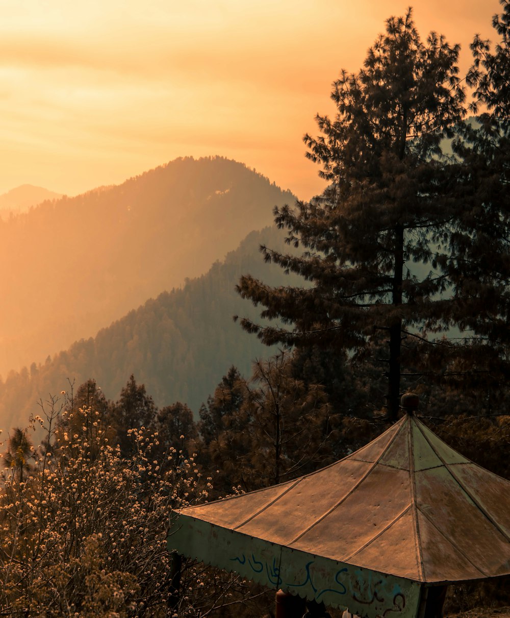 gray gazebo near trees during daytime