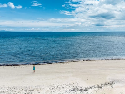 woman standing on shore near ocean during daytime fiji google meet background