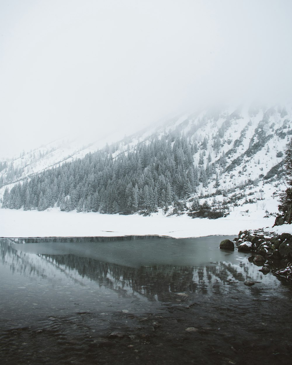 landscape photo of white and green mountain with trees