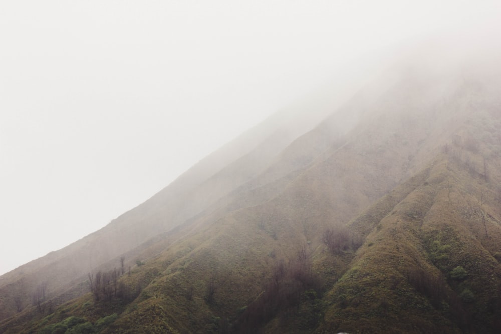 Photographie en contre-plongée de montagne