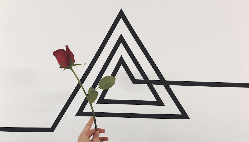 red rose and black pyramid logo