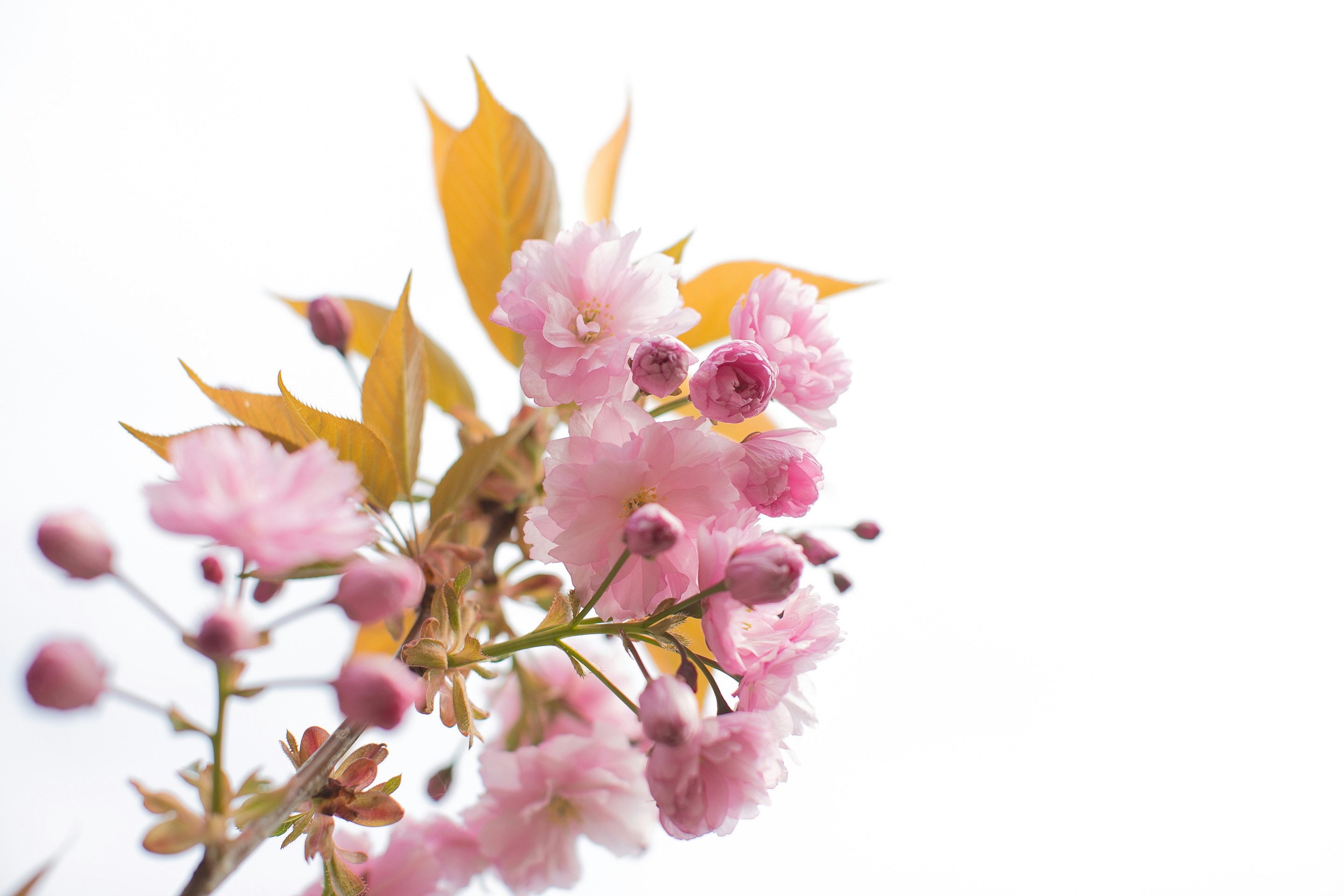 Photo by blackprojection