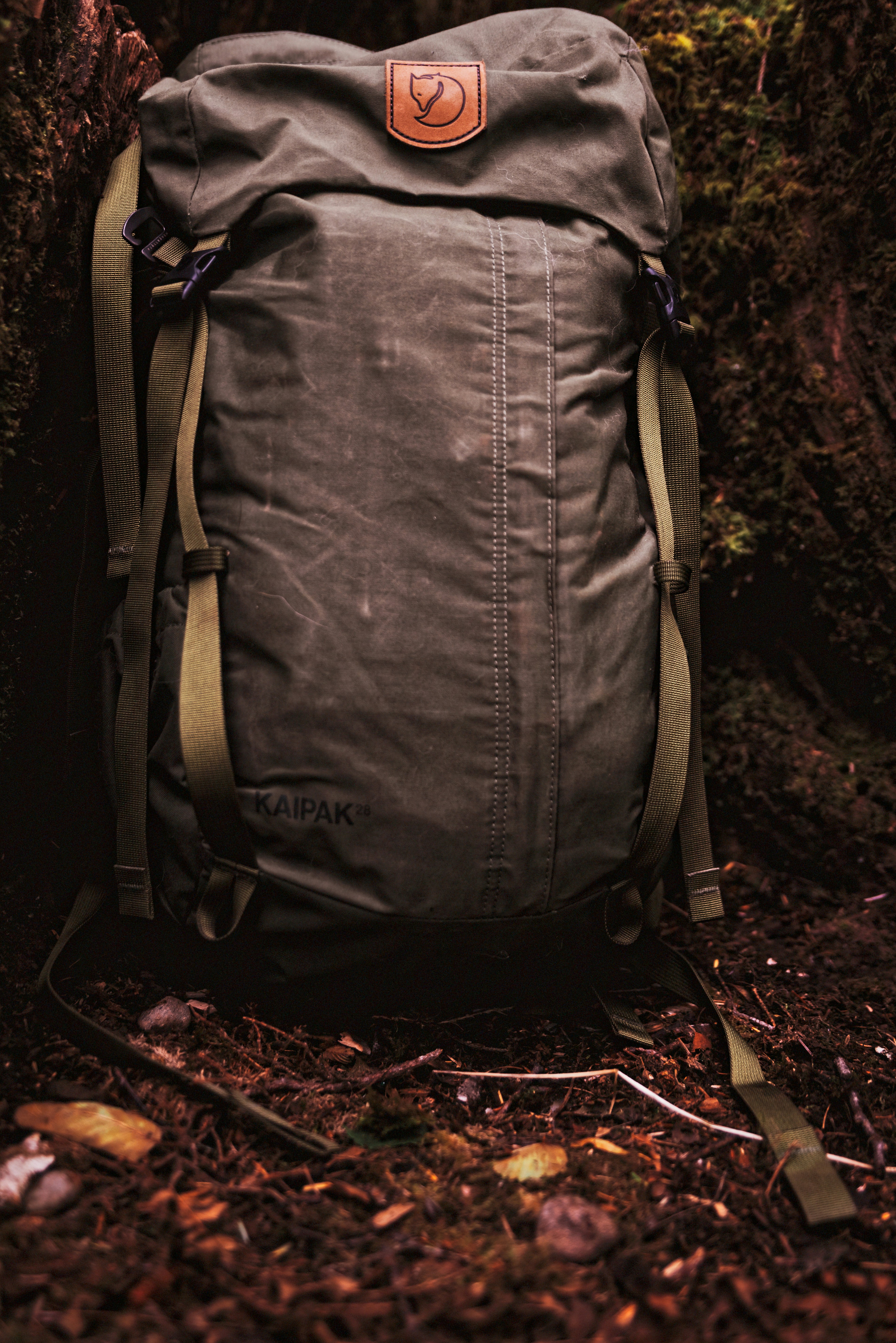 Stylish Eco Backpack