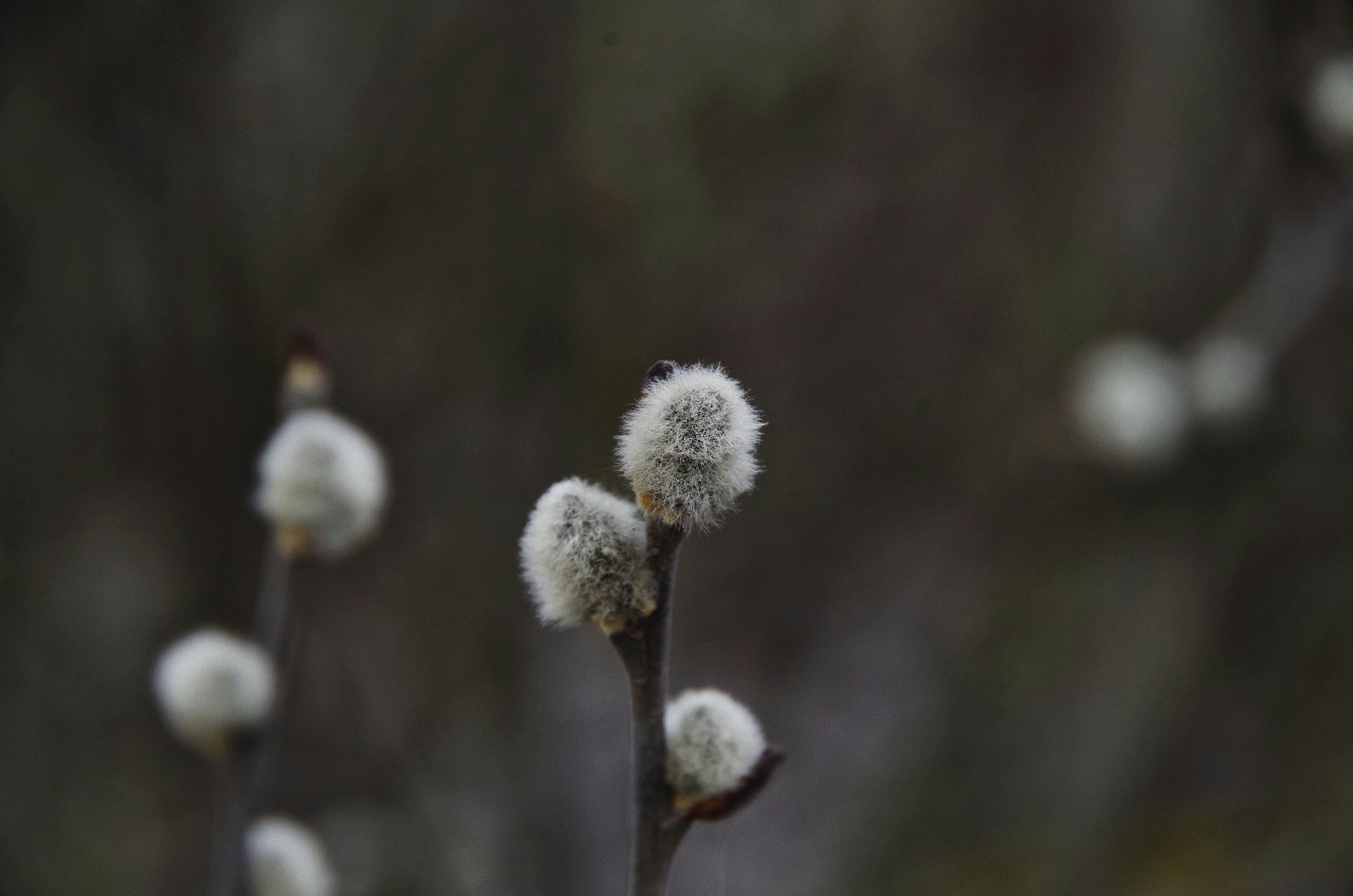 Photo by tatiannavoiset