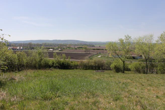 A spacious countryside estate with rolling green fields and a classic farmhouse under a clear sky.