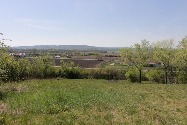 A spacious countryside estate with rolling green fields and a classic farmhouse under a clear sky.