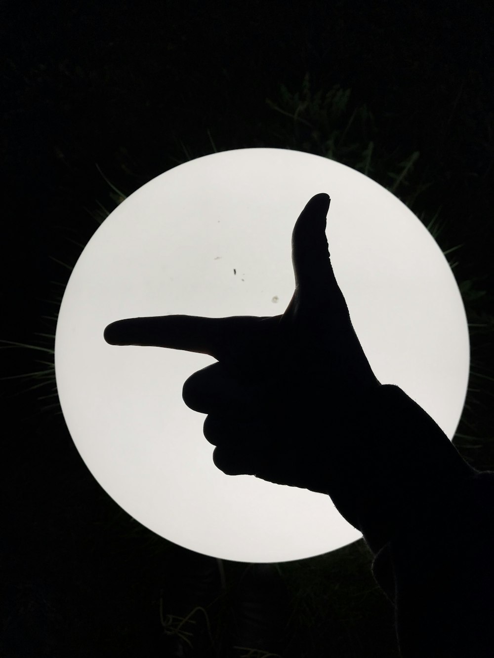 person showing hand gesture
