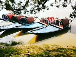Traditional boats floating on the calm blue waters of the Chari River near Sarh.