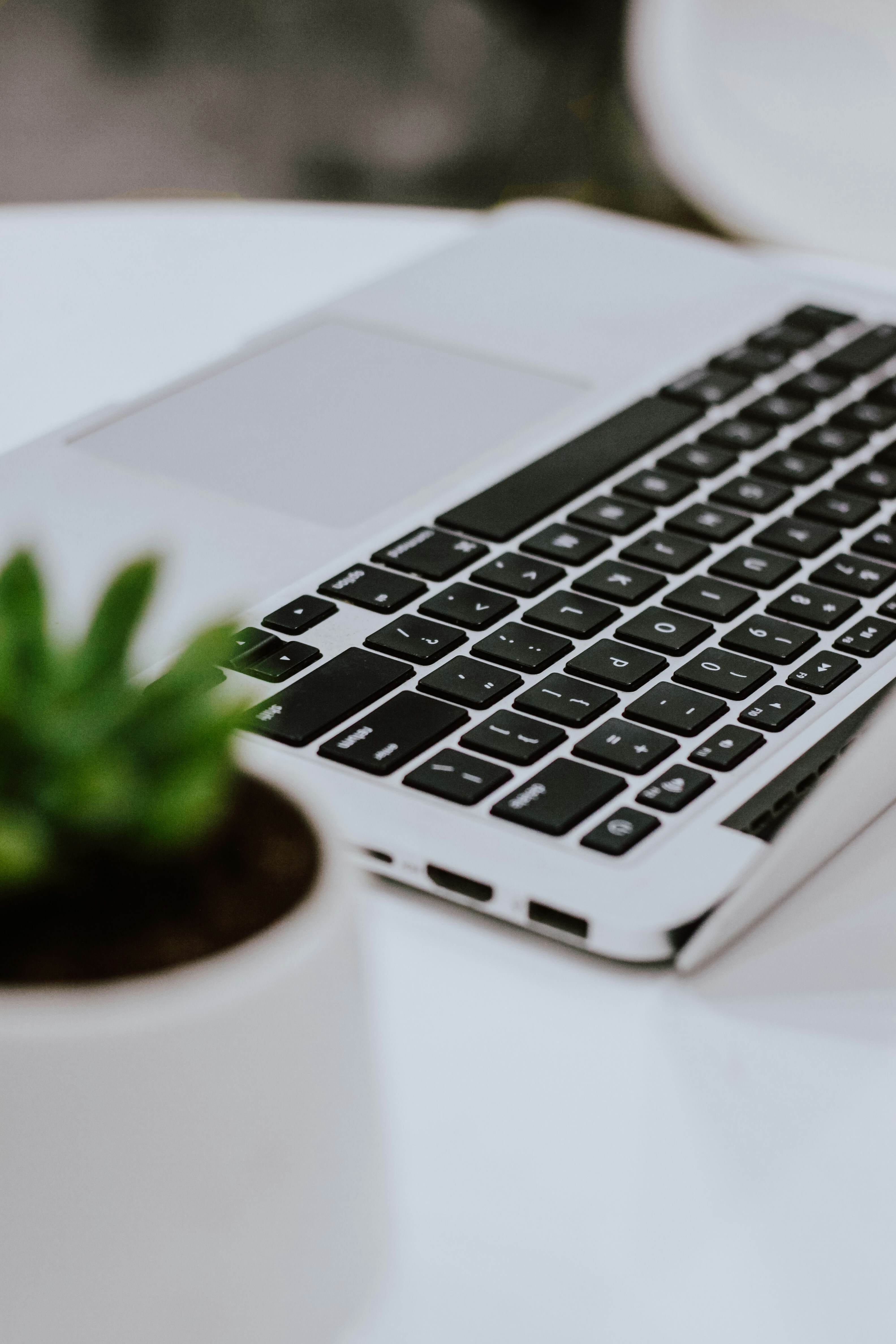 בלוג ומאמרים