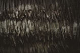 An intricate pattern of overlapping, dried palm leaves with a rough and textured appearance. The leaves are layered, creating a dense and complex arrangement.
