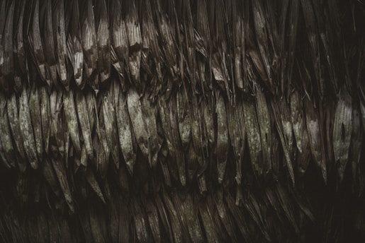 An intricate pattern of overlapping, dried palm leaves with a rough and textured appearance. The leaves are layered, creating a dense and complex arrangement.