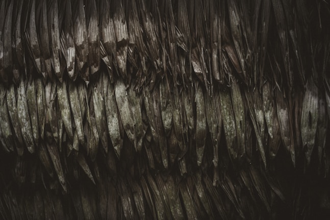 An intricate pattern of overlapping, dried palm leaves with a rough and textured appearance. The leaves are layered, creating a dense and complex arrangement.