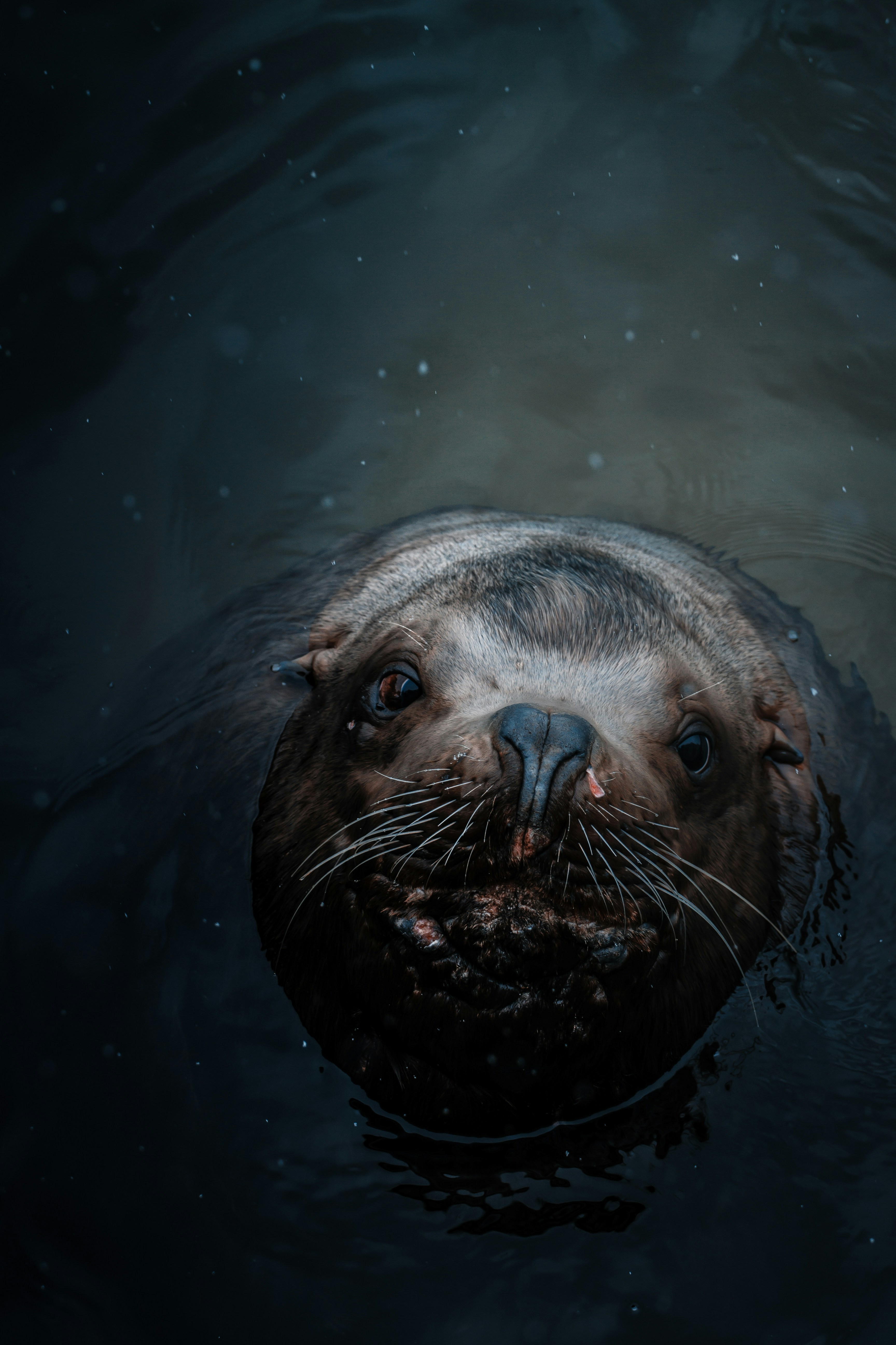 Photo by alexxglebov