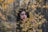 woman on selective focus photography