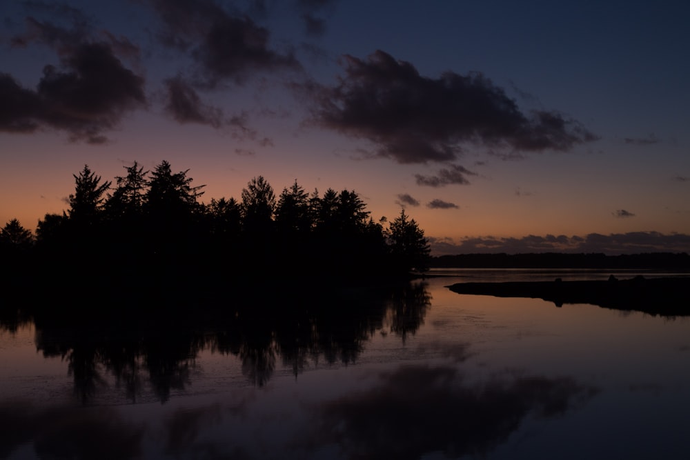 silhouette of trees