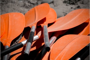 orange oak paddles