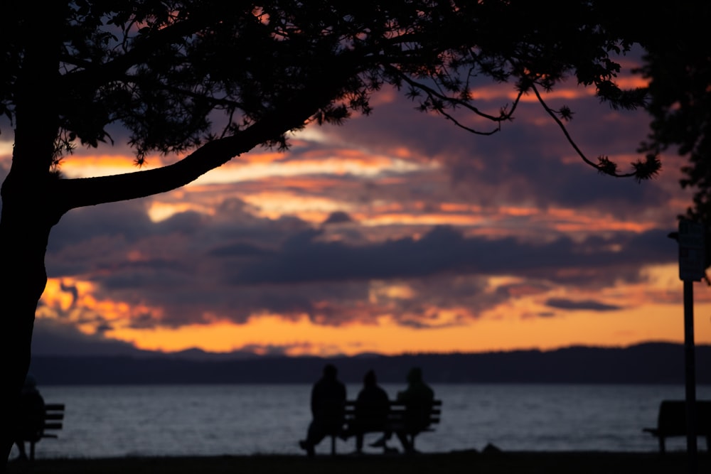 silhouette photography of person sitting on bench