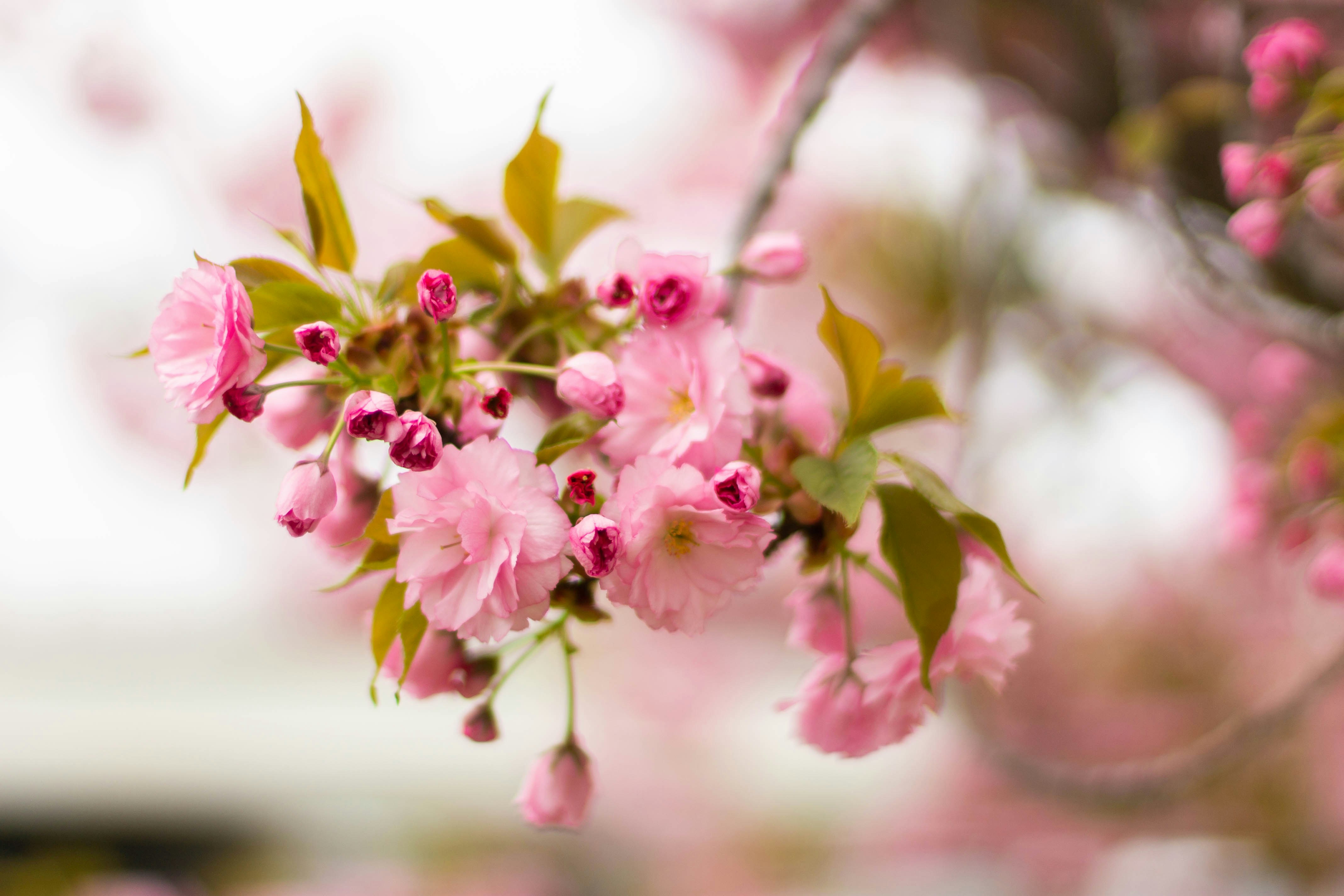 Photo by moonlitlens