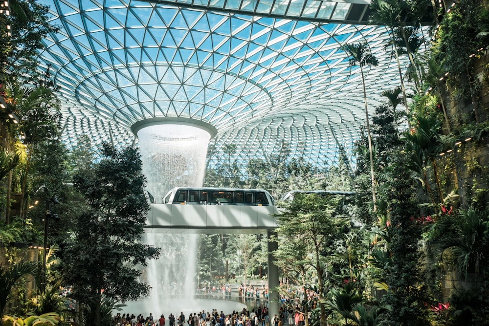 group of person watching the waterfalls