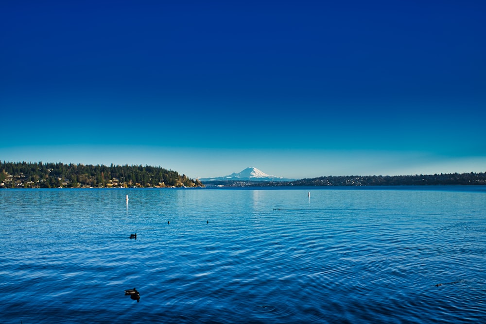 a body of water with a mountain in the background