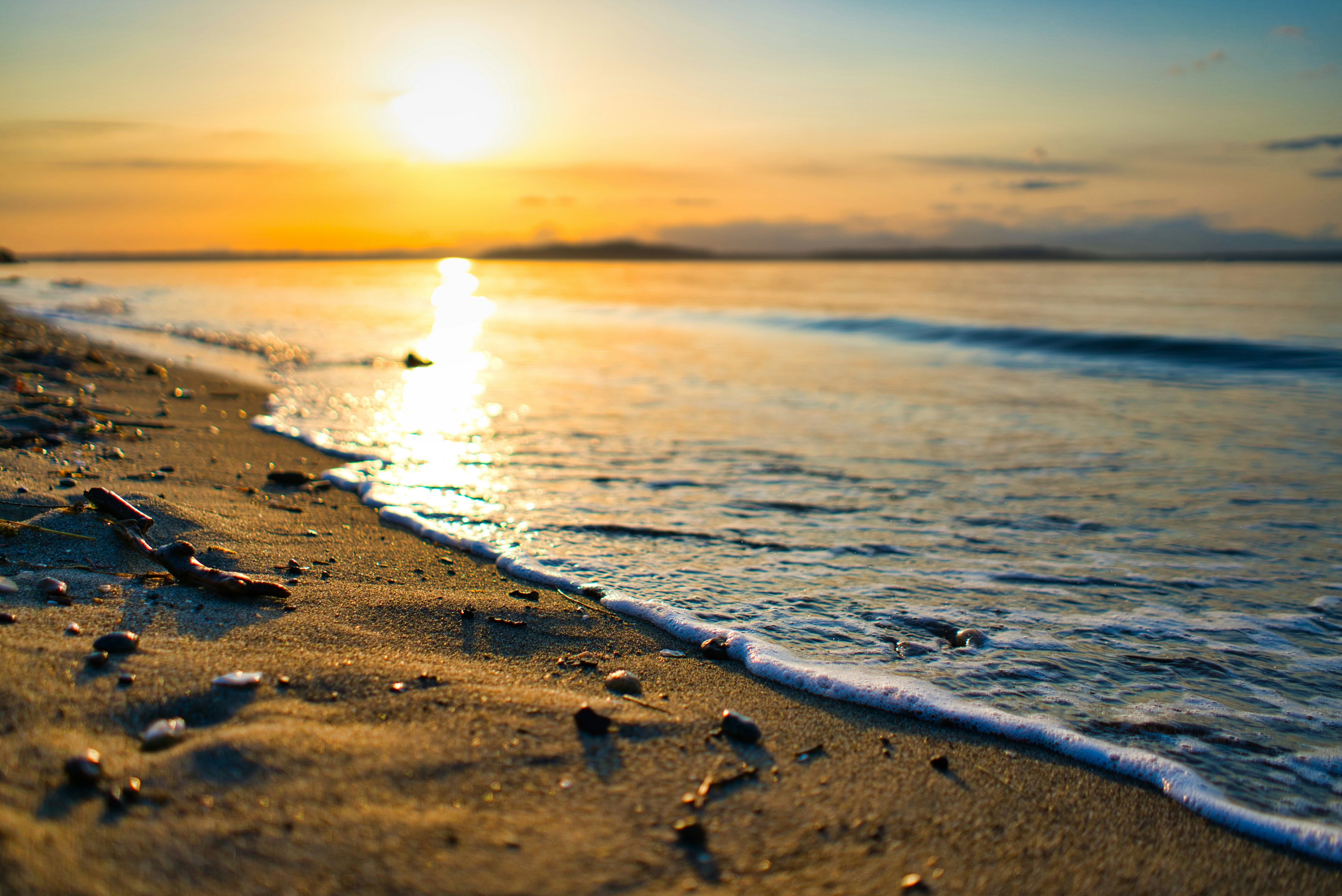 closeup photo of seashore on sunset