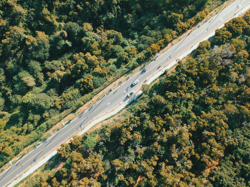 aerial photo of highway