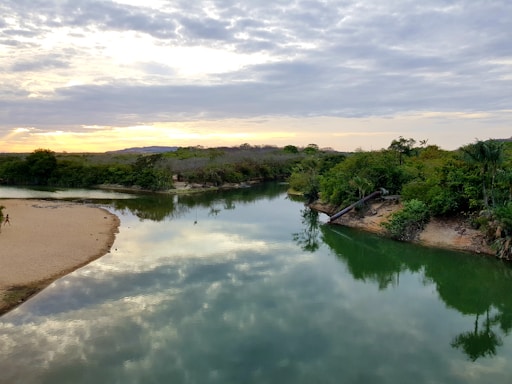 A serene river flowing through a lush wetland at sunrise, reflecting the calm and care of restoration work.