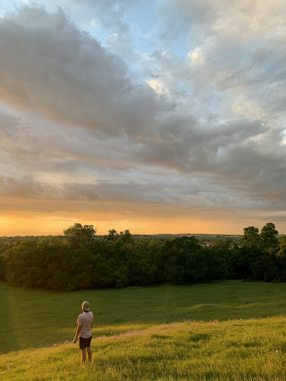 man standing on grass field