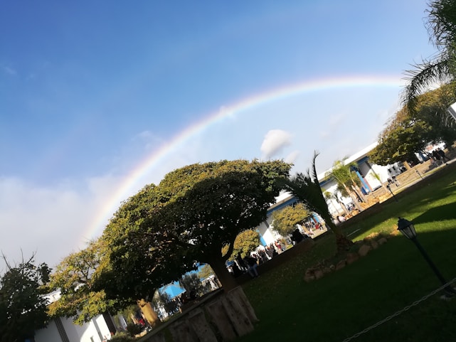 A vibrant rainbow arching over a diverse group of people holding hands in a park.