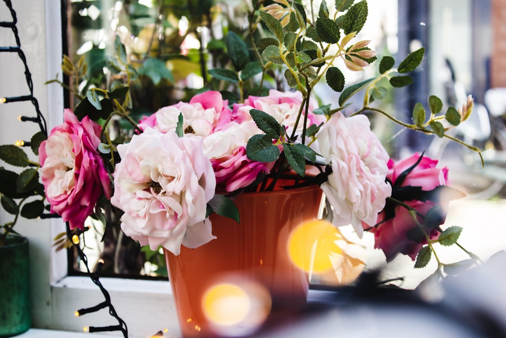 pink rose flower