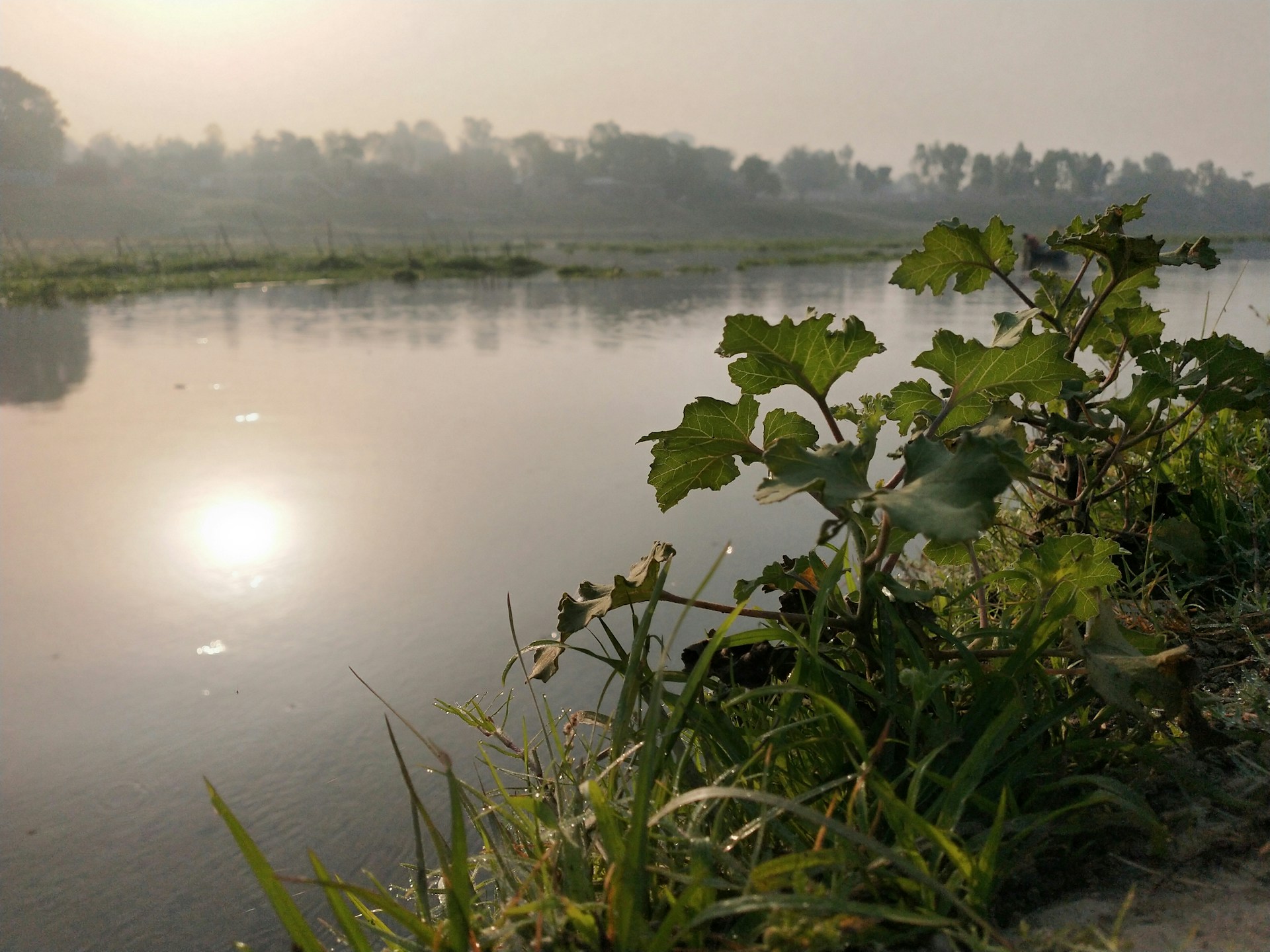 gray computer monitor