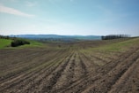 A wide open field with clear blue sky, perfect for farming.