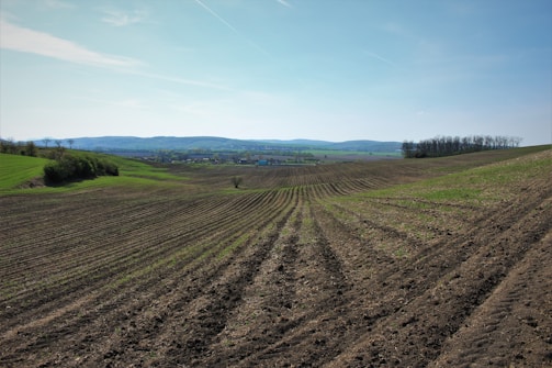 A wide open field with clear blue sky, perfect for farming.
