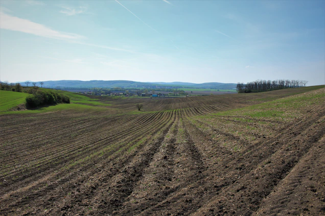 A wide-angle view of a freshly cleared rural land ready for new opportunities.