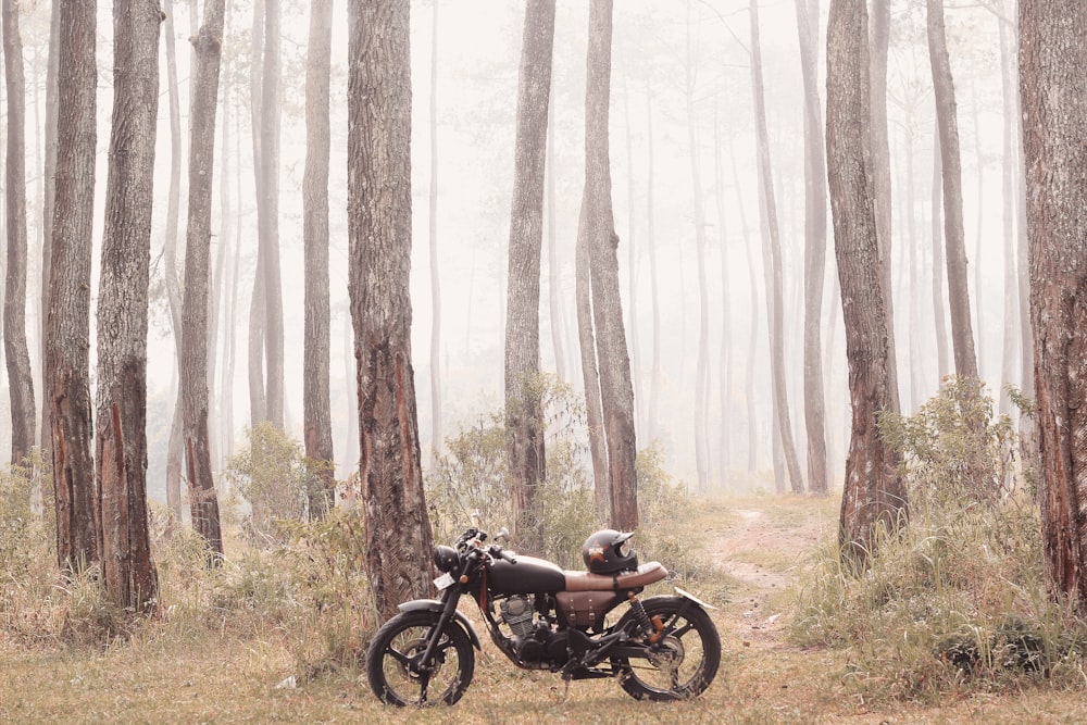 black and brown tracker motorcycle parked in woods