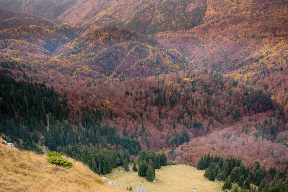 green and brown mountains during daytime