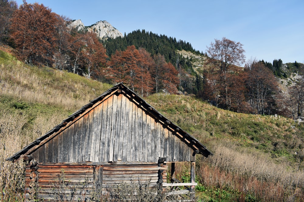 Casa de madera marrón en un campo de hierba verde cerca de árboles verdes durante el día