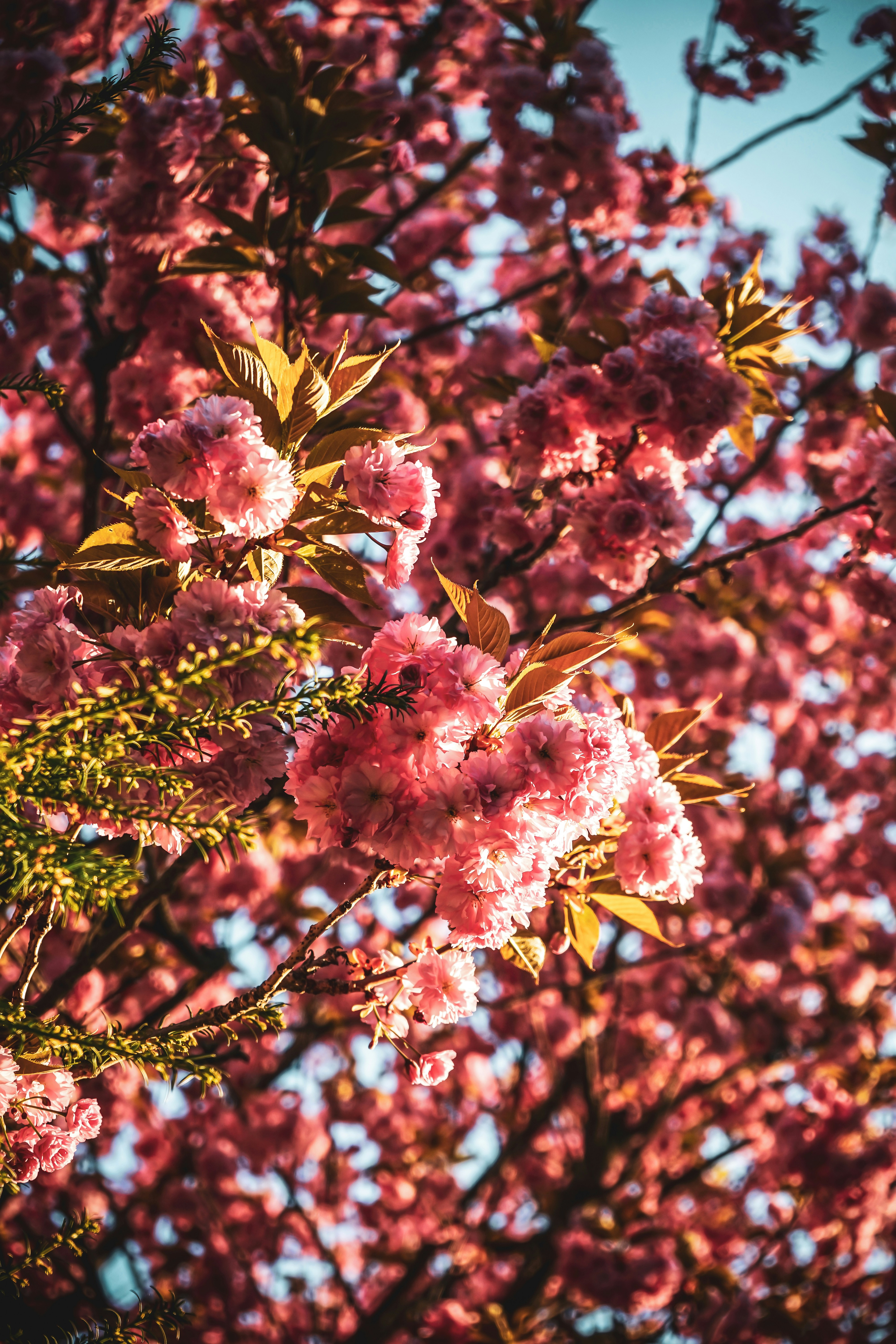 Photo by shotaspot