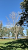 A serene park with people enjoying outdoor activities.