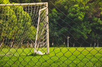 A soccer goal is situated on a lush green field, surrounded by a net fence in the foreground. The background features trees that create a natural, serene environment.