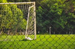 A soccer goal is situated on a lush green field, surrounded by a net fence in the foreground. The background features trees that create a natural, serene environment.
