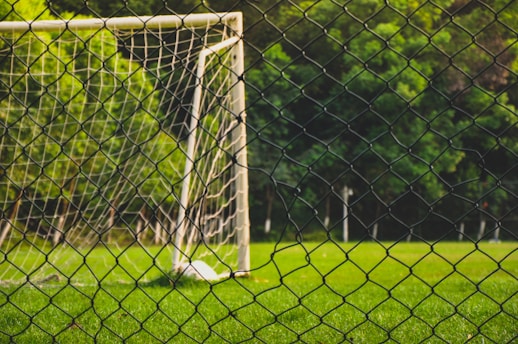 A soccer goal is situated on a lush green field, surrounded by a net fence in the foreground. The background features trees that create a natural, serene environment.